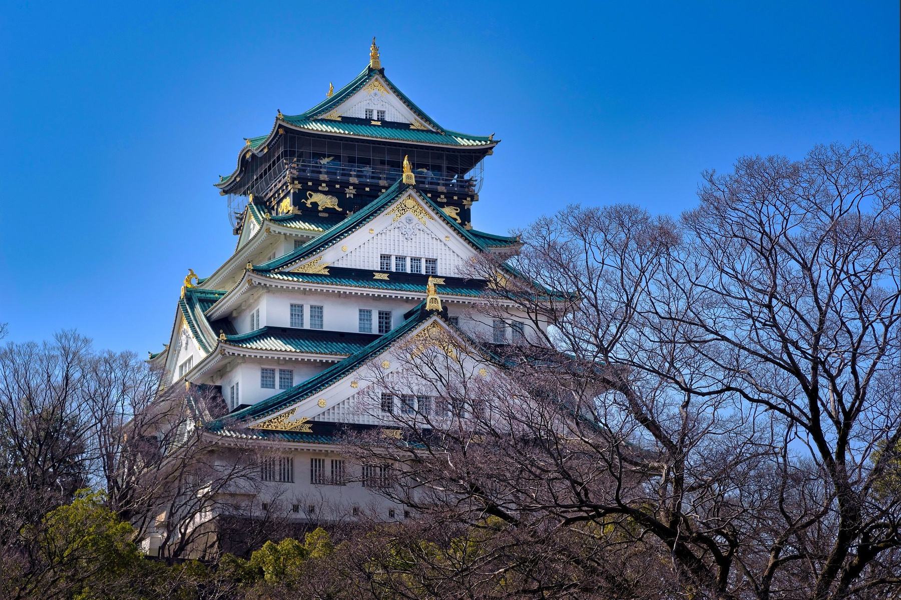 Osaka Castle main keep with cherry trees and blue sky